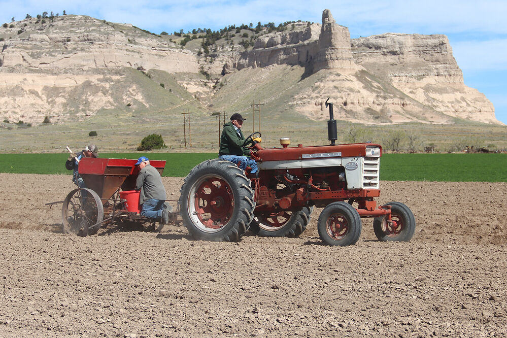 Legacy of the Plains Potatoes